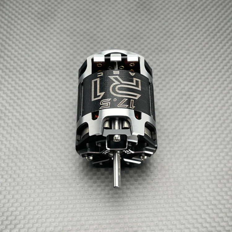 R1WURKS V30 17.5T (ROAR Approved)